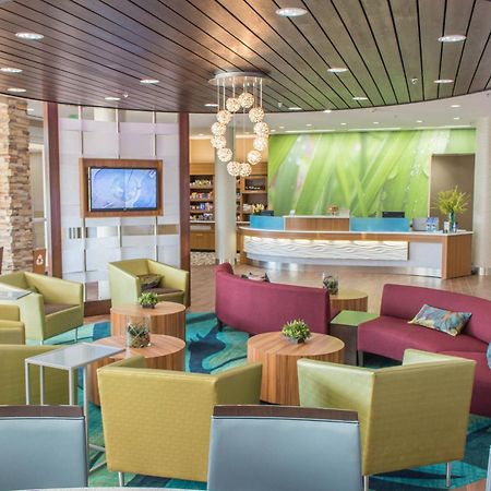 Springhill Suites By Marriott Sumter Luaran gambar